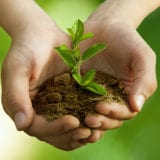 Climate Anxiety - Child holding a young plant