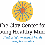 shining light on mental health through education