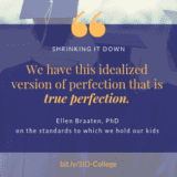 Quote from Ellen Braaten - "We have this idealized version of perfection, which is true perfection."